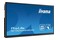 Monitor 75.0" IIYAMA TE7504MIS-B2AG czarny