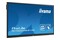Monitor 75.0" IIYAMA TE7512MIS-B1AG czarny