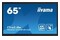 Monitor 65.0" IIYAMA TE6514MIS-B1AG czarny