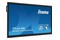 Monitor 65.0" IIYAMA TE6514MIS-B1AG czarny