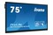 Monitor 75.0" IIYAMA TE7512MIS-B3AG czarny