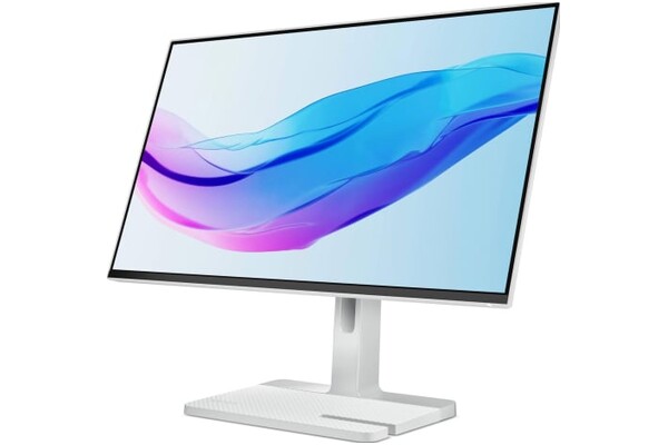Monitor 24.0" Lenovo L24m-4A szary