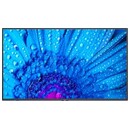 Monitor 43.0" NEC MuktiSync M431 czarny
