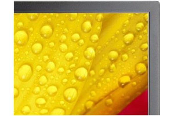 Monitor 65.0" NEC MuktiSync ME651 czarny