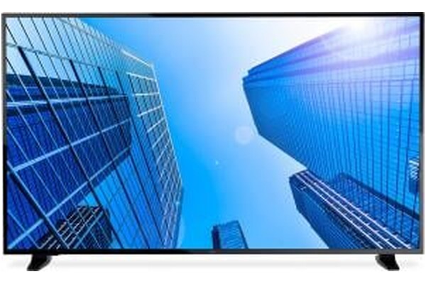 Monitor 50.0" NEC MuktiSync E507Q czarny