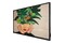 Monitor 32.0" Philips D-Line 32BDL4511D/00 czarny
