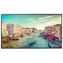 Monitor 50.0" Samsung QM50R czarny