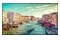 Monitor 65.0" Samsung QM65R czarny