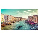 Monitor 65.0" Samsung QM65R czarny