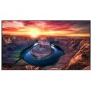 Monitor 55.0" Samsung QM55B czarny