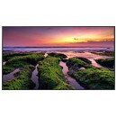 Monitor 50.0" Samsung QB50B czarny