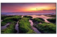 Monitor 50.0" Samsung QB50B czarny