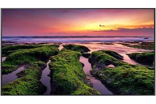 Monitor 50.0" Samsung QB50B czarny