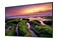 Monitor 50.0" Samsung QB50B czarny