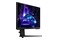 Monitor 24.0" Samsung LS24DG304EUXEN czarny