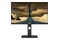 Monitor 27.0" Dahua Technology LM27-P301A czarny