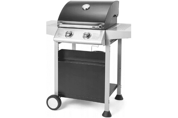 Grill gazowy Fieldmann FZG3102 palniki 2szt moc 6.0kW