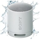 głośnik Bluetooth Sony SRSXB100 szary