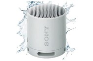 głośnik Bluetooth Sony SRSXB100 szary
