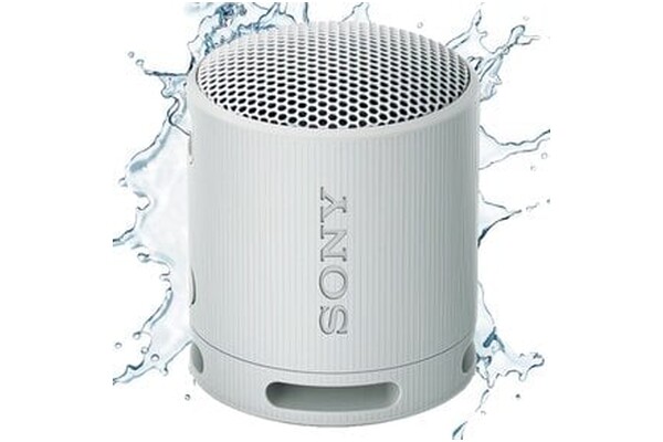 głośnik Bluetooth Sony SRSXB100 szary