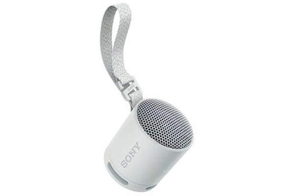 głośnik Bluetooth Sony SRSXB100 szary