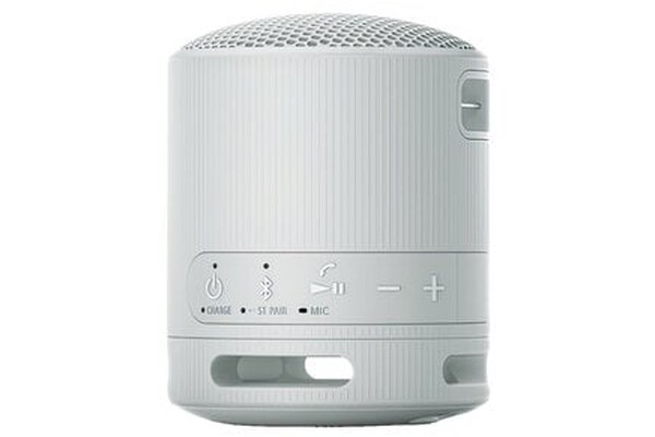 głośnik Bluetooth Sony SRSXB100 szary