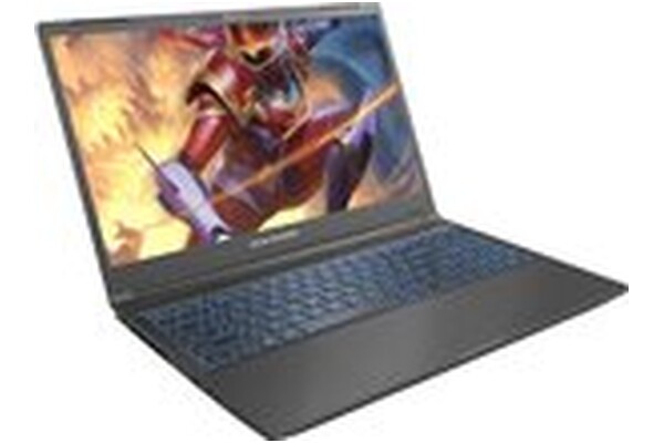 Laptop Dream Machines 15.6" Intel Core i7 13700H NVIDIA GeForce RTX 4050 16GB 1TB SSD czarny