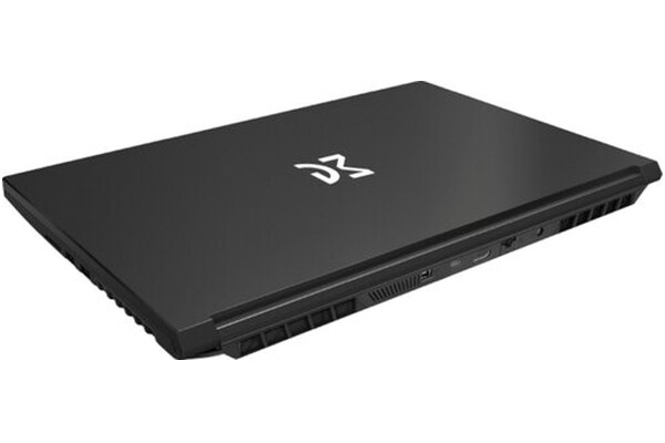 Laptop Dream Machines 15.6" Intel Core i7 13620H NVIDIA GeForce RTX 4060 16GB 1TB SSD czarny