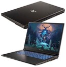 Laptop Dream Machines 17.3" Intel Core i7 14700HX NVIDIA GeForce RTX 4050 32GB 1TB SSD czarny