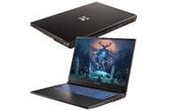 Laptop Dream Machines 17.3" Intel Core i7 14700HX NVIDIA GeForce RTX 4050 32GB 1TB SSD czarny