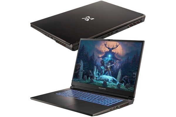 Laptop Dream Machines 17.3" Intel Core i7 14700HX NVIDIA GeForce RTX 4050 32GB 1TB SSD czarny