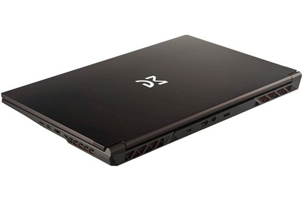 Laptop Dream Machines 17.3" Intel Core i7 14700HX NVIDIA GeForce RTX 4050 32GB 1TB SSD czarny