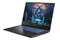 Laptop Dream Machines 17.3" Intel Core i7 14700HX NVIDIA GeForce RTX 4050 32GB 1TB SSD czarny