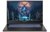 Laptop Dream Machines 17.3" Intel Core i9 14900HX NVIDIA GeForce RTX 4060 32GB 1TB SSD czarny
