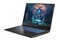 Laptop Dream Machines 17.3" Intel Core i9 14900HX NVIDIA GeForce RTX 4060 32GB 1TB SSD czarny