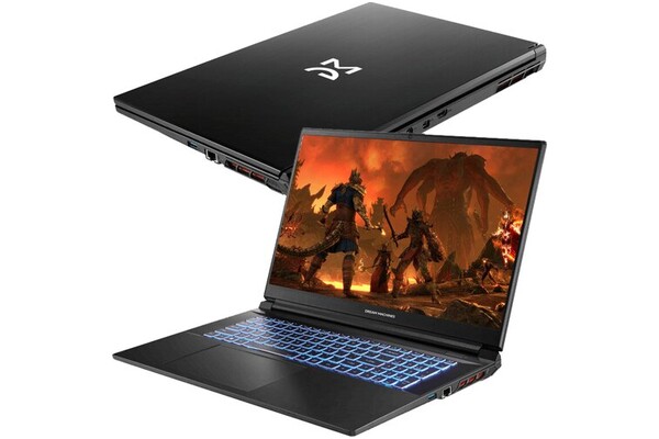 Laptop Dream Machines 17.3" Intel Core i7 13620H NVIDIA GeForce RTX 4060 16GB 1TB SSD czarny