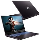 Laptop Dream Machines 17.3" Intel Core i5 13420H NVIDIA GeForce RTX 2050 32GB 1TB SSD czarny