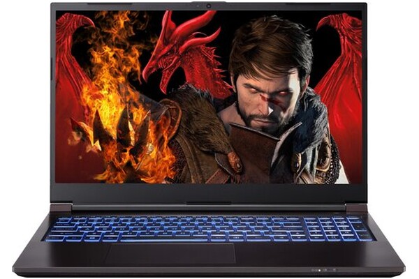 Laptop Dream Machines 15.6" Intel Core i5 13420H INTEL UHD 32GB 1TB SSD czarny