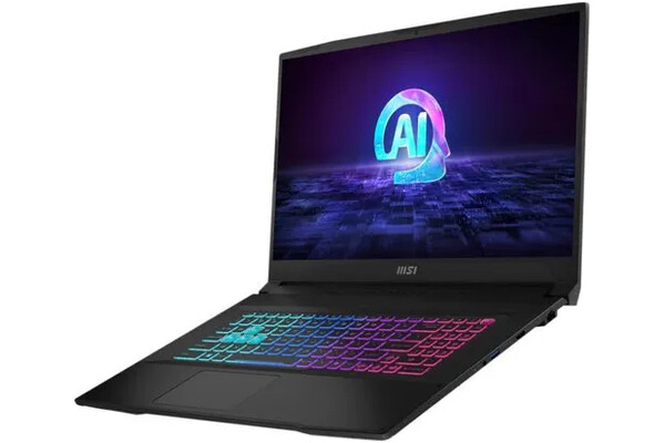 Laptop MSI Katana A17 17.3" AMD Ryzen 7 8845HS NVIDIA GeForce RTX 4060 16GB 1TB SSD czarny