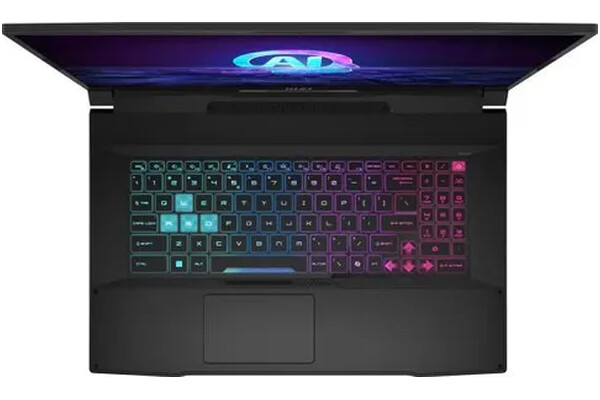 Laptop MSI Katana A17 17.3" AMD Ryzen 7 8845HS NVIDIA GeForce RTX 4060 16GB 1TB SSD czarny