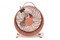 wentylator Biurkowy Nedis FNCL10PK20