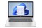 Laptop HP HP 17 17.3" Intel N305 N305 INTEL Iris Xe 8GB 512GB SSD M.2 Windows 11 Home srebrny