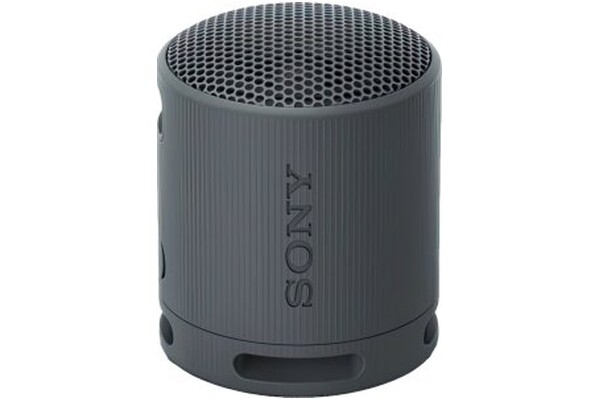 głośnik Bluetooth Sony SRSXB100 czarny