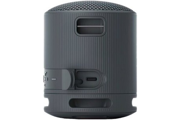 głośnik Bluetooth Sony SRSXB100 czarny
