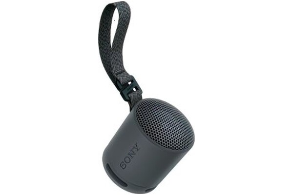 głośnik Bluetooth Sony SRSXB100 czarny