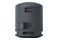 głośnik Bluetooth Sony SRSXB100 czarny
