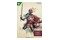 Avowed Edycja Premium + Steelbook /Windows PC, Xbox (Series S/X)