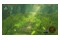 The Legend Of Zelda Breath Of The Wild 2 Nintendo Switch