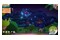 Amber Isle Nintendo Switch