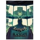 Batman Arkham Origins Blackgate Edycja Deluxe PC